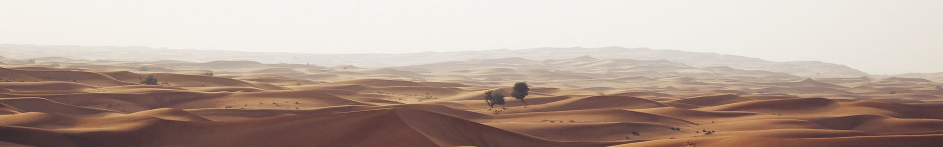 ŵɿƼ޹˾